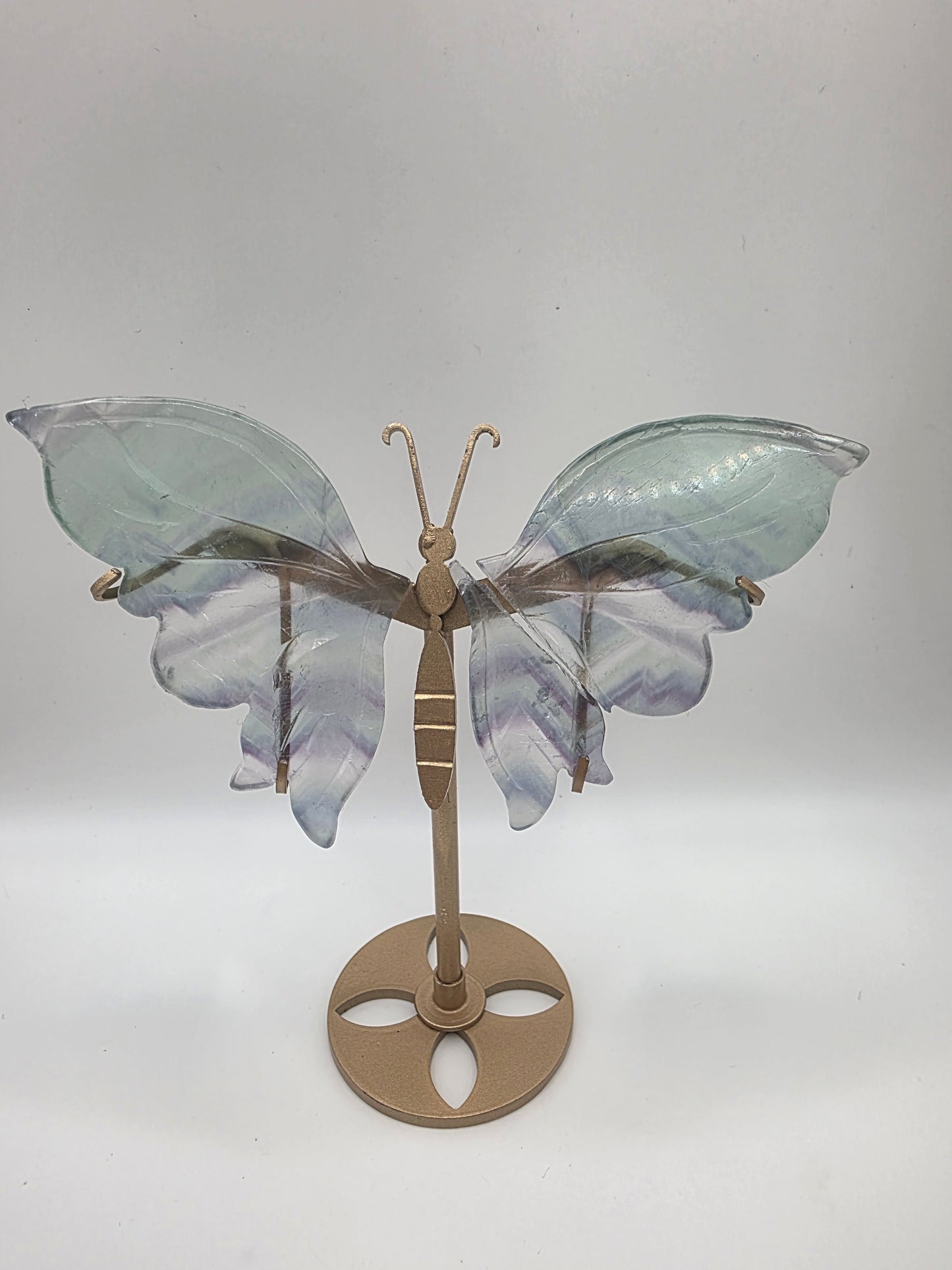 Fluorite Butterfly Wings on Gold Stand – 15cm (Perfectly Imperfect & Heavily Discounted)