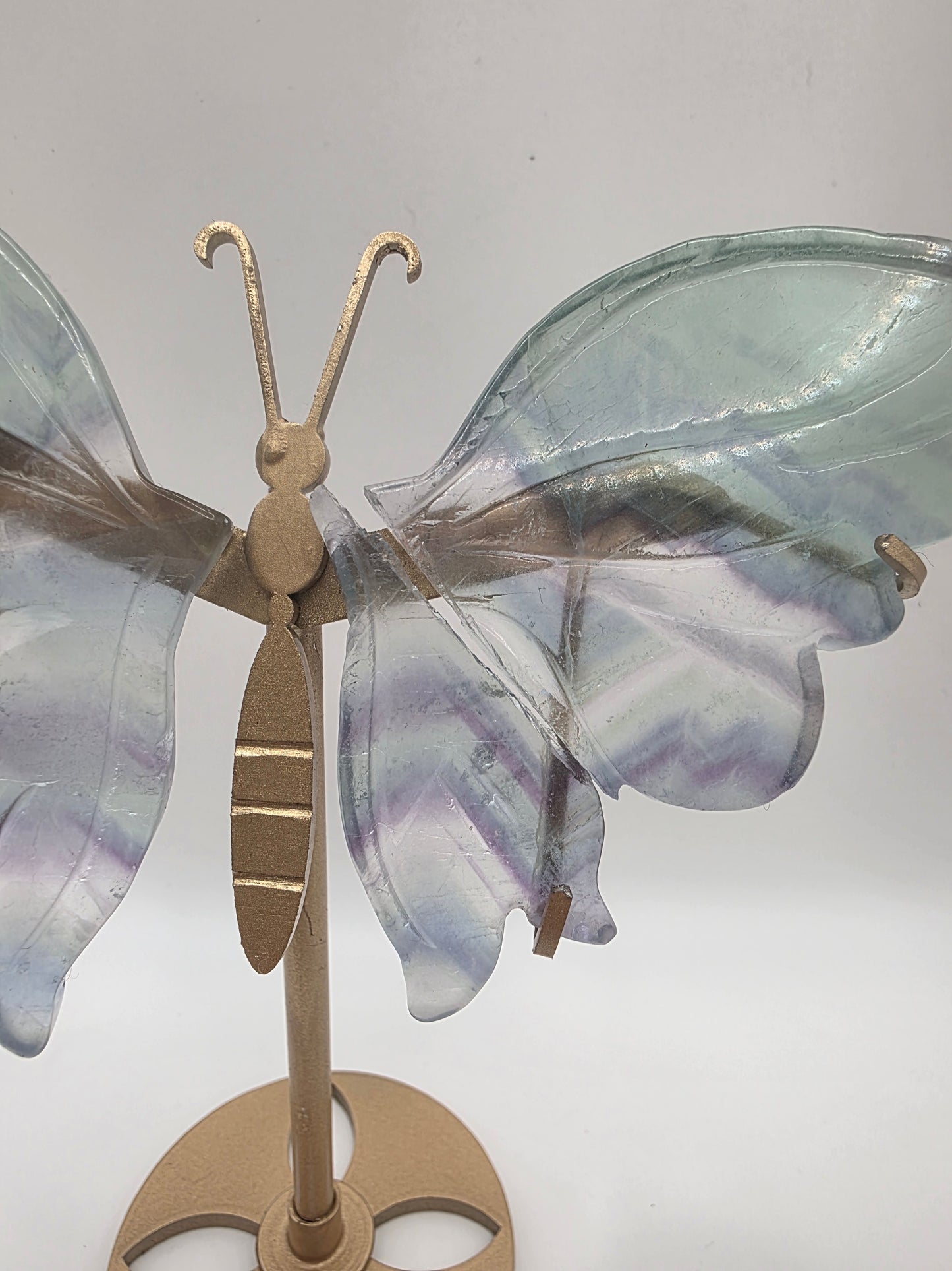 Fluorite Butterfly Wings on Gold Stand – 15cm (Perfectly Imperfect & Heavily Discounted)