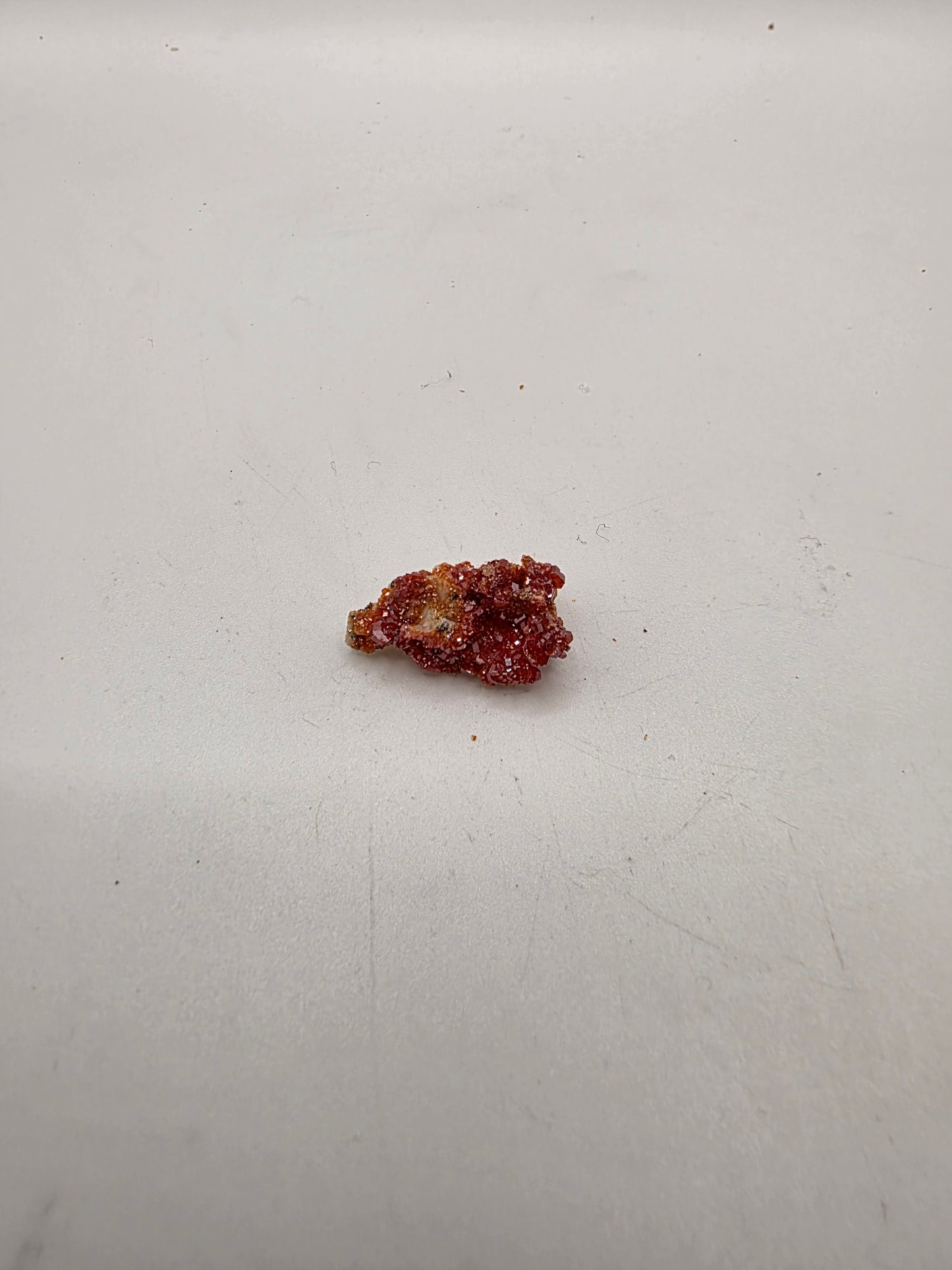 Mini Vanadinite Crystal Cluster – Fiery Motivation (5g | 2.5cm)