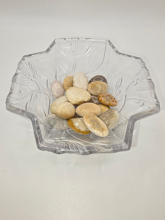 Coral Tumbles – $3 Each or 4 for $10 (Use Code: 4FOR10)