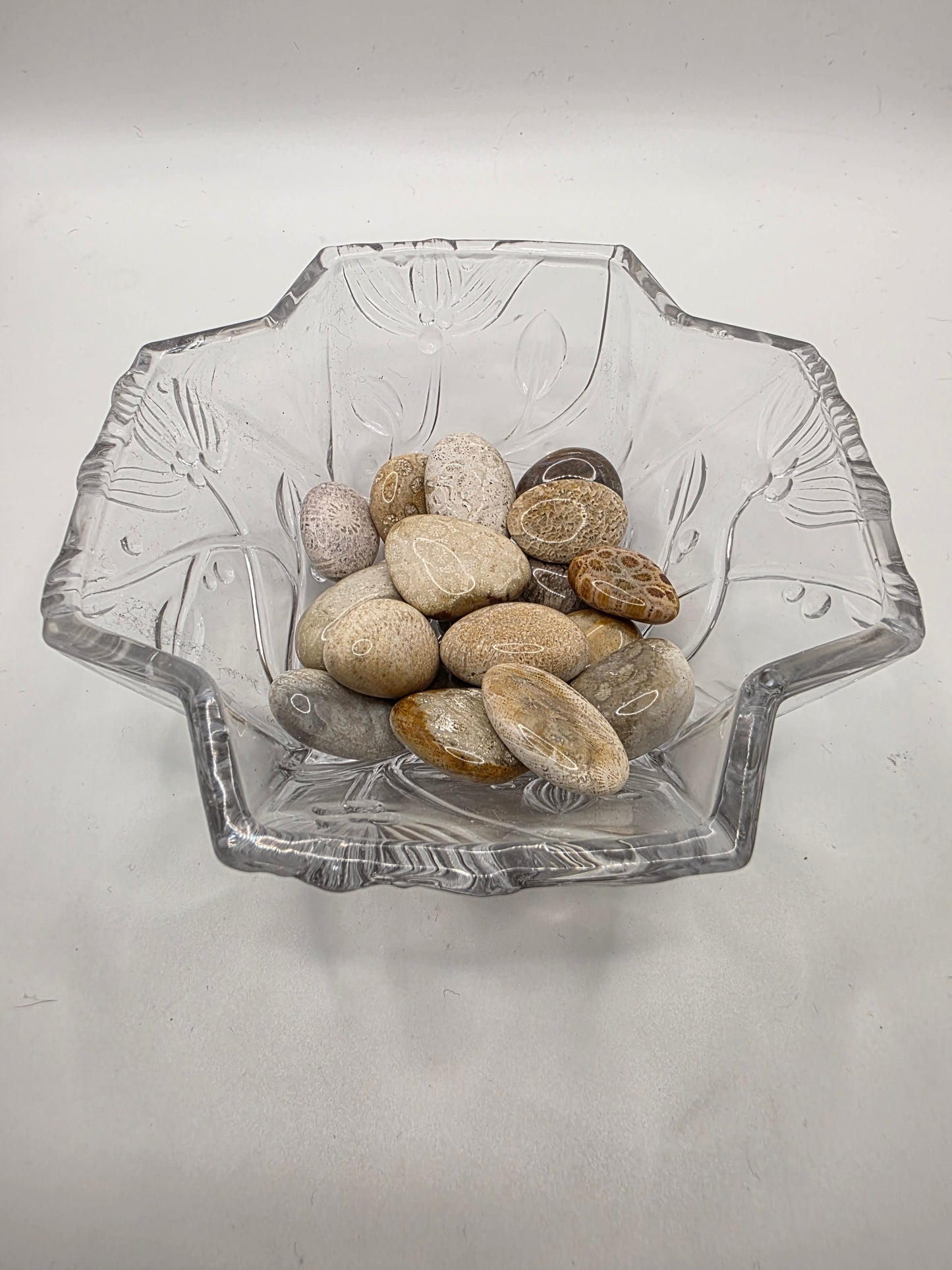 Coral Tumbles – $3 Each or 4 for $10 (Use Code: 4FOR10)