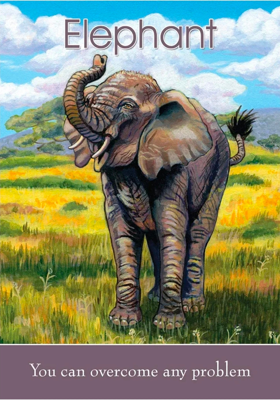 Children’s Spirit Animal Cards – 24-Card Deck for Kids (Guidance, Comfort & Confidence)